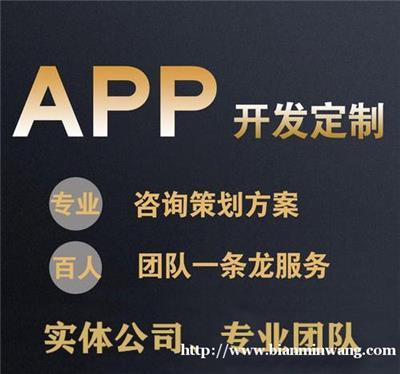 手機端定制網站開發電商類app開發進銷存管理系統